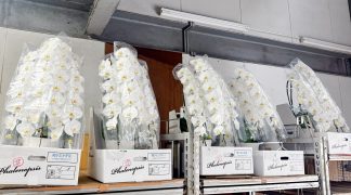 takaki-seikaten-yoshino-flower-markettakaki-seikaten-yoshino-flower-market-001