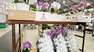 takaki-seikaten-yoshino-flower-markettakaki-seikaten-yoshino-flower-market-007
