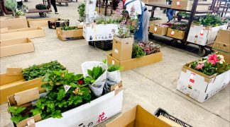 takaki-seikaten-yoshino-flower-markettakaki-seikaten-yoshino-flower-market-009
