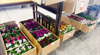 takaki-seikaten-yoshino-flower-markettakaki-seikaten-yoshino-flower-market-010