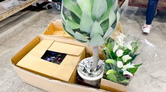 takaki-seikaten-yoshino-flower-markettakaki-seikaten-yoshino-flower-market-012